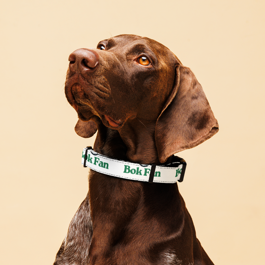 Bok Fan Pet Collar